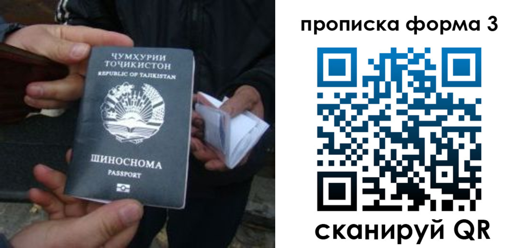 прописка 2025 в Плавске